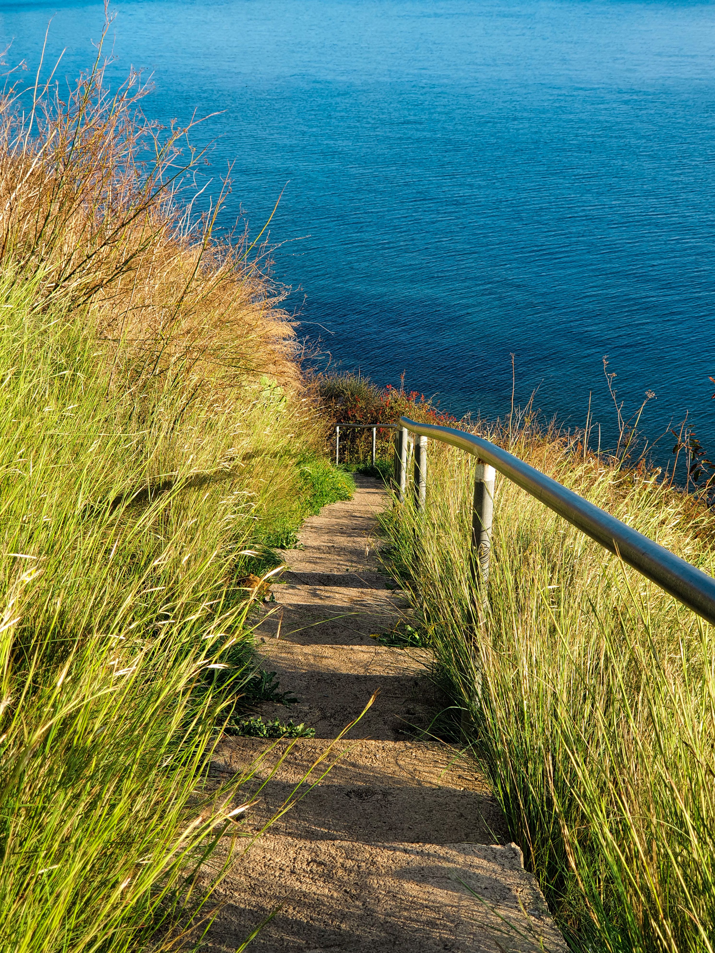 Scenic Pathway Leading to Blue Waters · Free Stock Photo