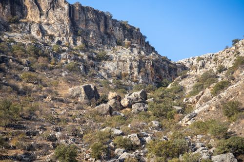 Free Rocky landscape with shrubs under a clear blue sky in Halfeti, Şanlıurfa, Türkiye. Stock Photo