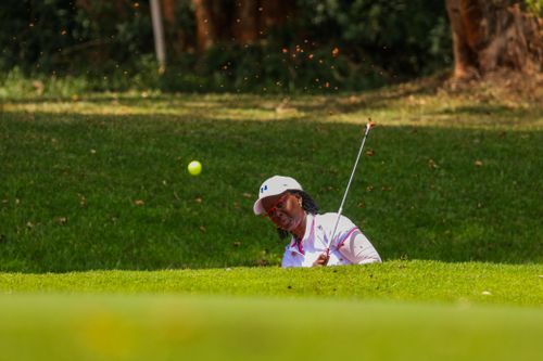 Free Golf player making a shot from a bunker on a sunny outdoor golf course. Stock Photo