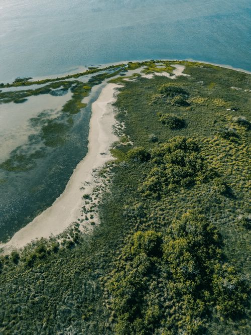 Free Drone shot capturing a tranquil and scenic coastal landscape with grassy vegetation and sandy shoreline. Stock Photo
