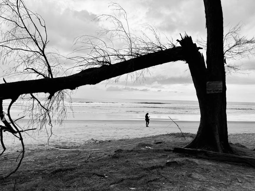 Deadly Goa Nightclub Fire: Investigation Launched as Safety Failures Come to Light