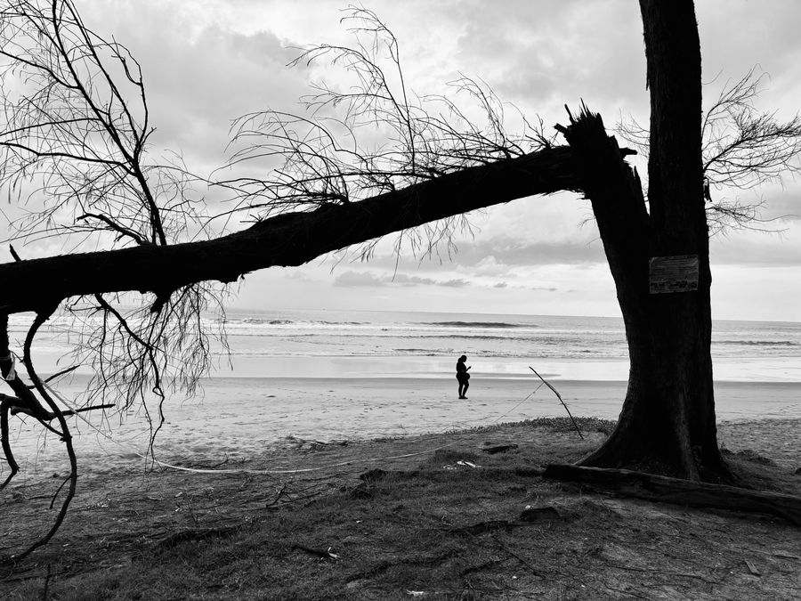 Agonda Beach photo 2
