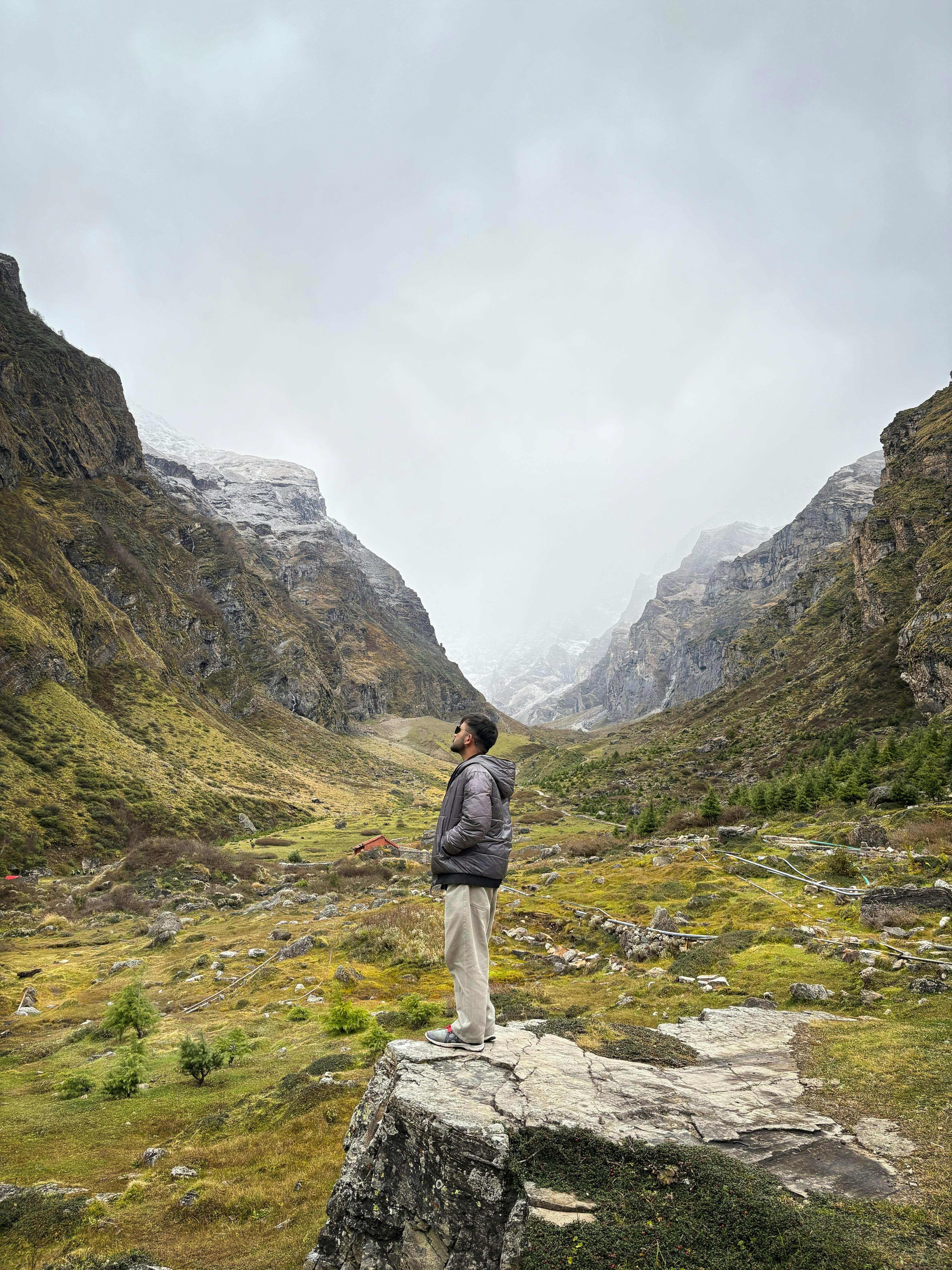 Free stock photo of 4k nature background, abstract nature, adnveture in forest