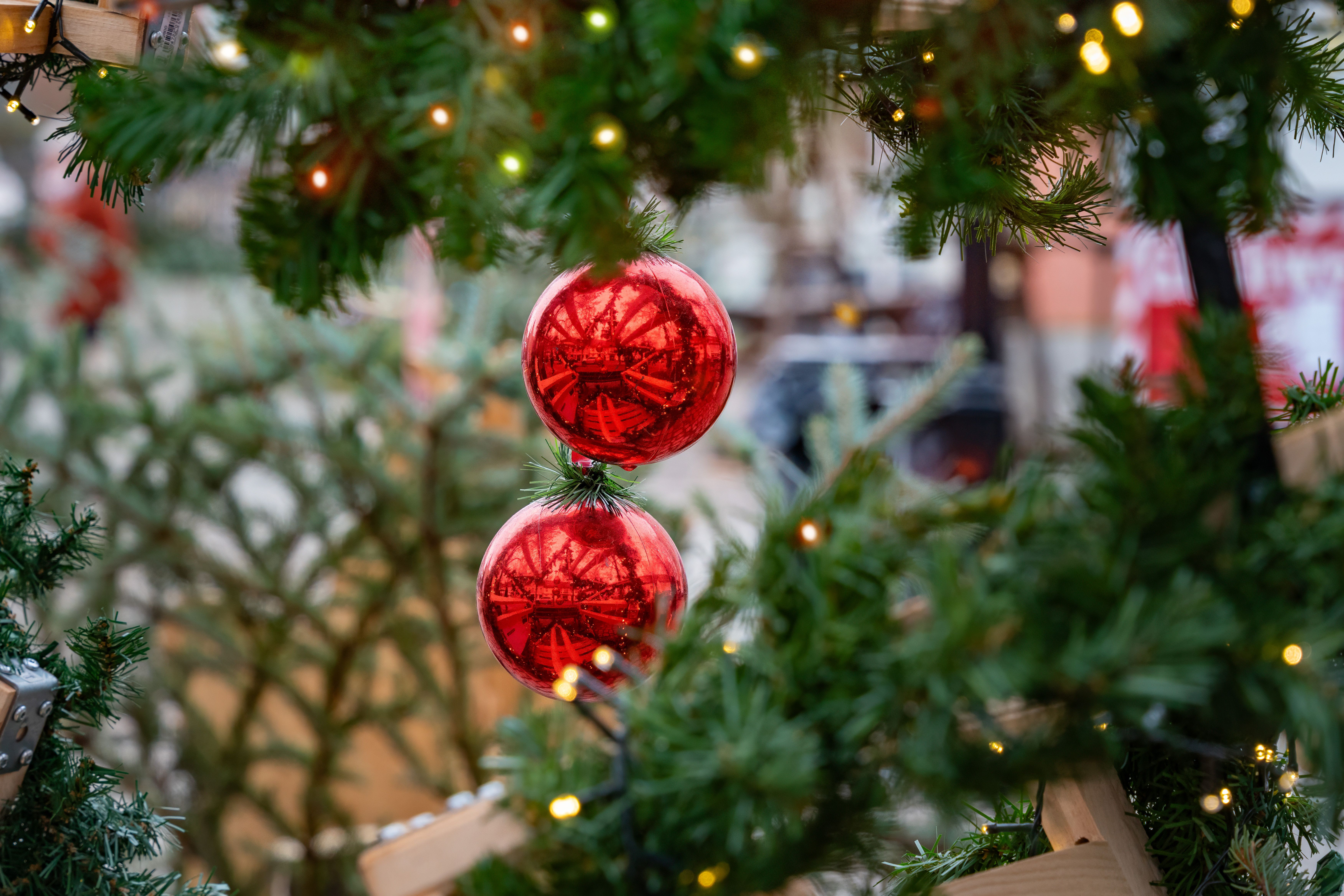 Festive Christmas Tree with Red Ornaments · Free Stock Photo