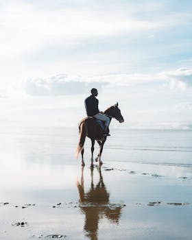 Silhouette of a person horseback riding on a tranquil beach at dawn.