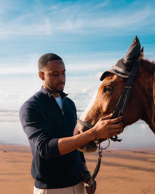 Tarot relationships travel