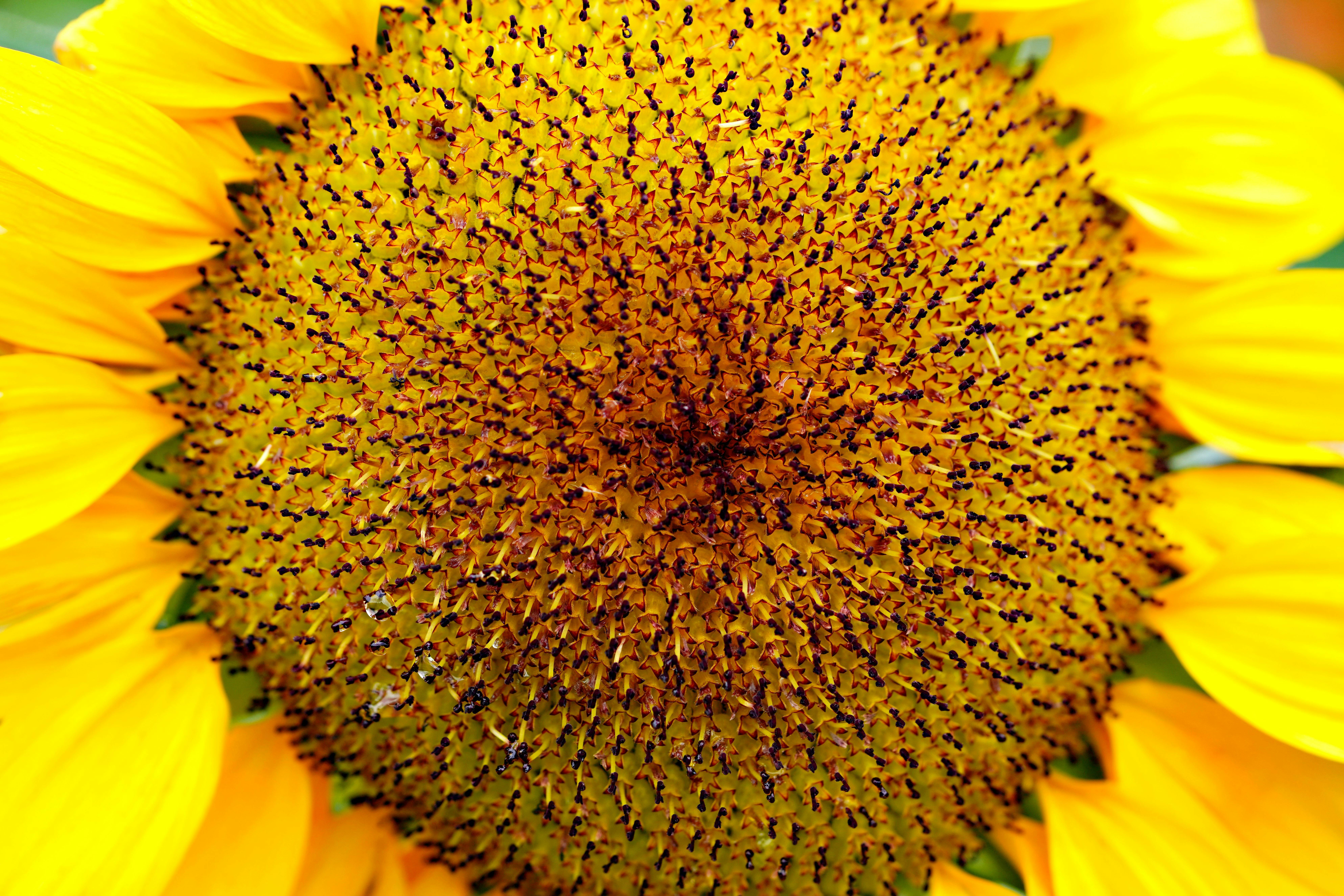 擔心孩子長不高？林口長庚教你從日常生活開始調整