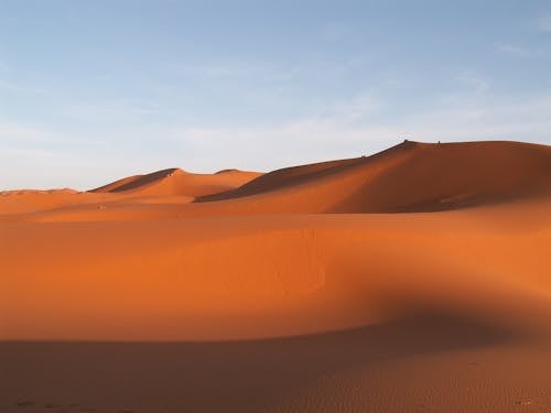 bezplatná Základová fotografie zdarma na téma duna pole, duny, horko Základová fotografie