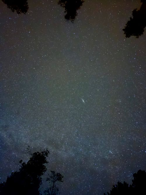 Free A stunning view of a starry night sky featuring the Andromeda galaxy, captured among silhouettes of trees. Stock Photo