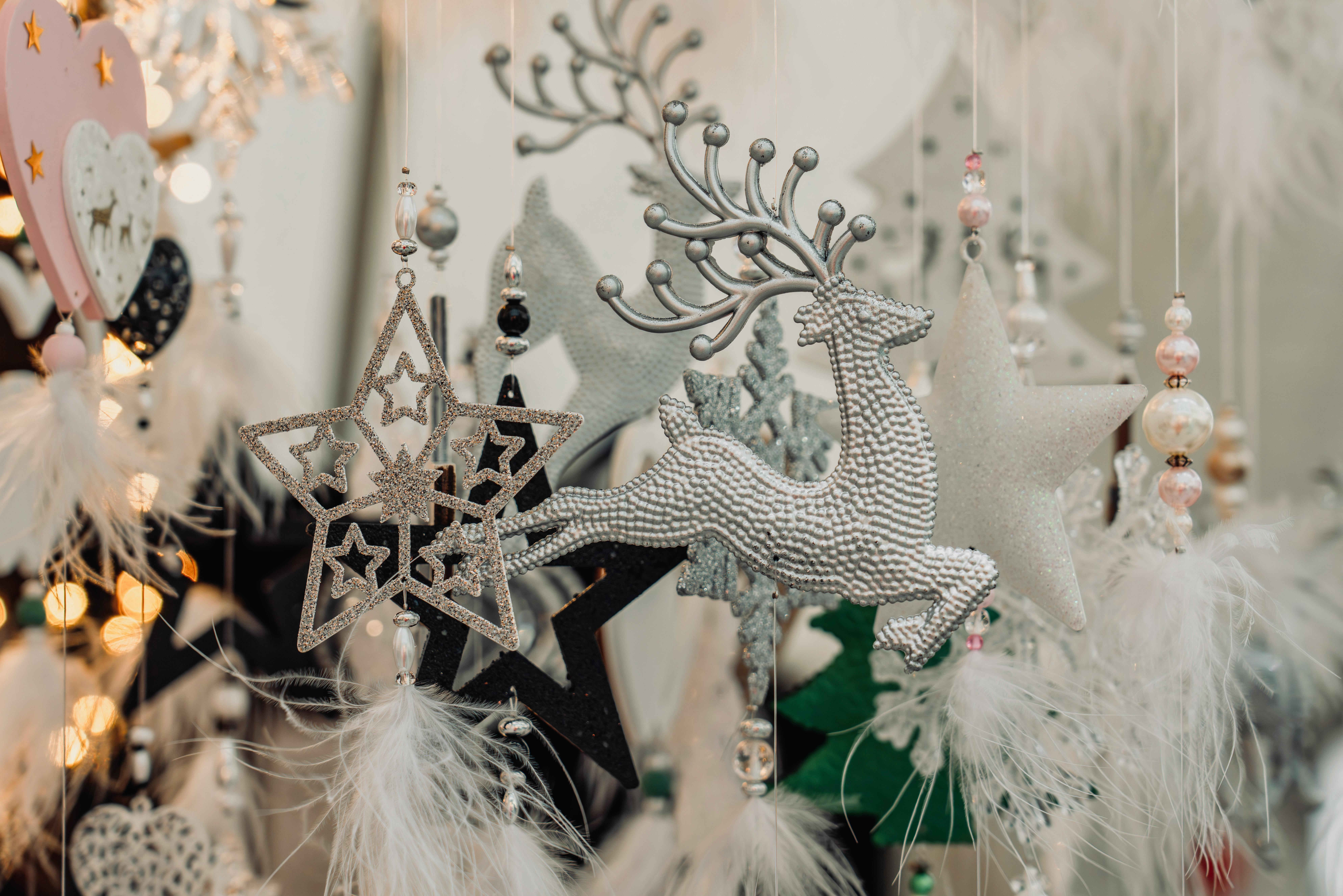 嘉義花海生活節圓滿落幕，展現在地花卉之美與文化魅力