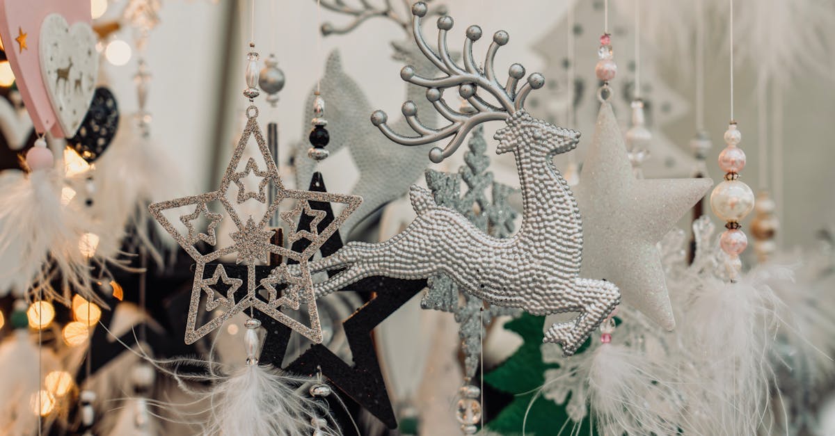 嘉義花海生活節圓滿落幕,展現在地花卉之美與文化魅力