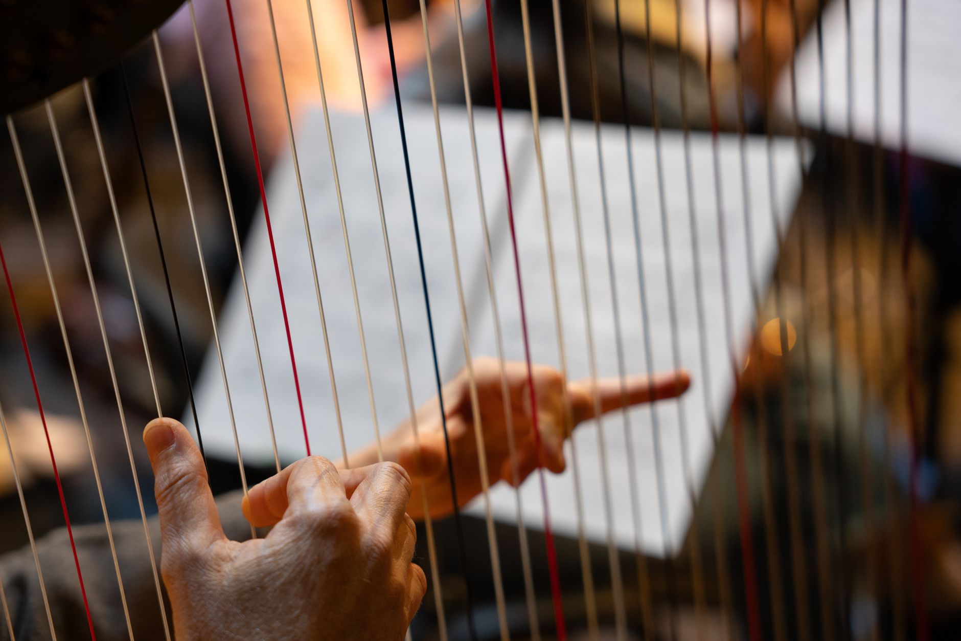 Detailed view of musician's hands playing a harp, indicating technical skill.. detailed, view, musicians