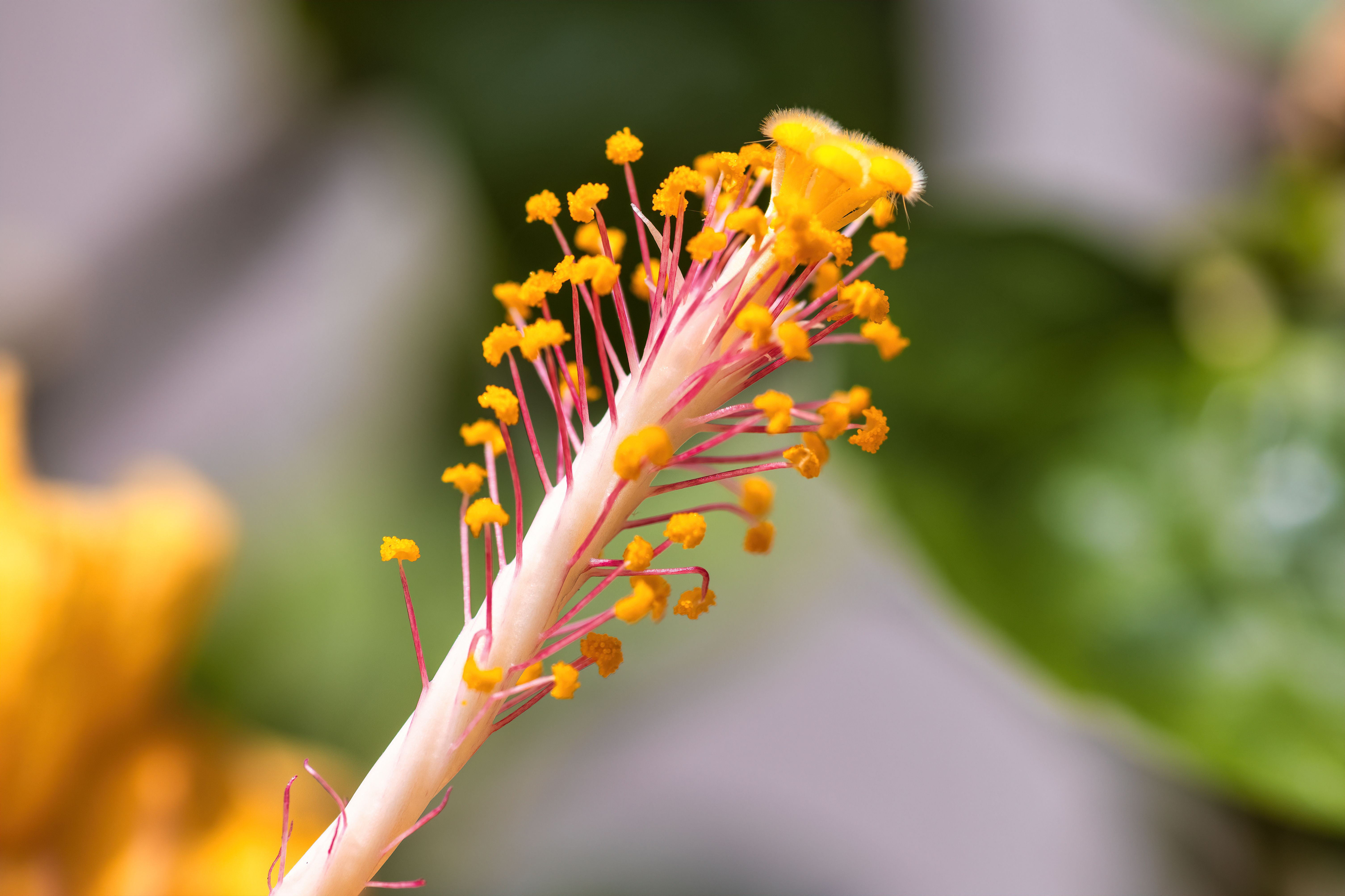 Bokeh Color Mmw Photos, Download The BEST Free Bokeh Color Mmw Stock ...