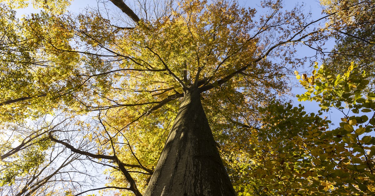 擔心孩子長不高?林口長庚教你從日常生活開始調整