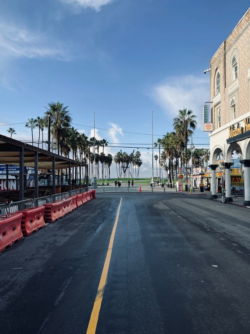 Sunny Venice Beach boardwalk lined with palm trees in Los Angeles