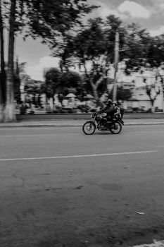 Black and white photo of a motorcyclist speeding through a tree-lined urban street.