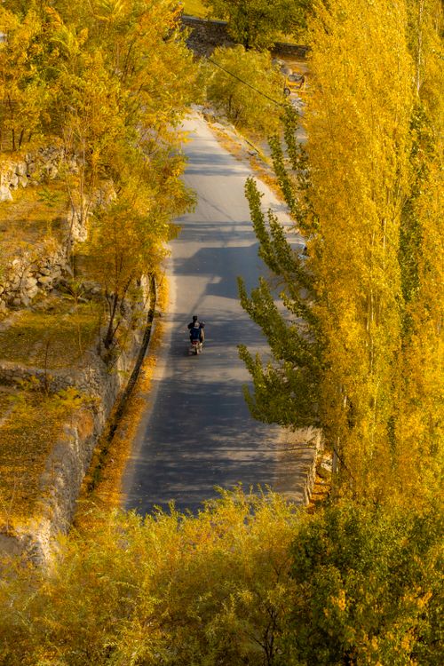 Free A picturesque road winding through autumn trees in Hunza Valley, Gilgit-Baltistan, Pakistan. Stock Photo
