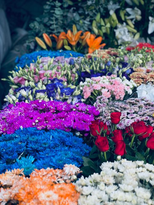 Free Colorful array of various flowers at an İstanbul market stall. Stock Photo