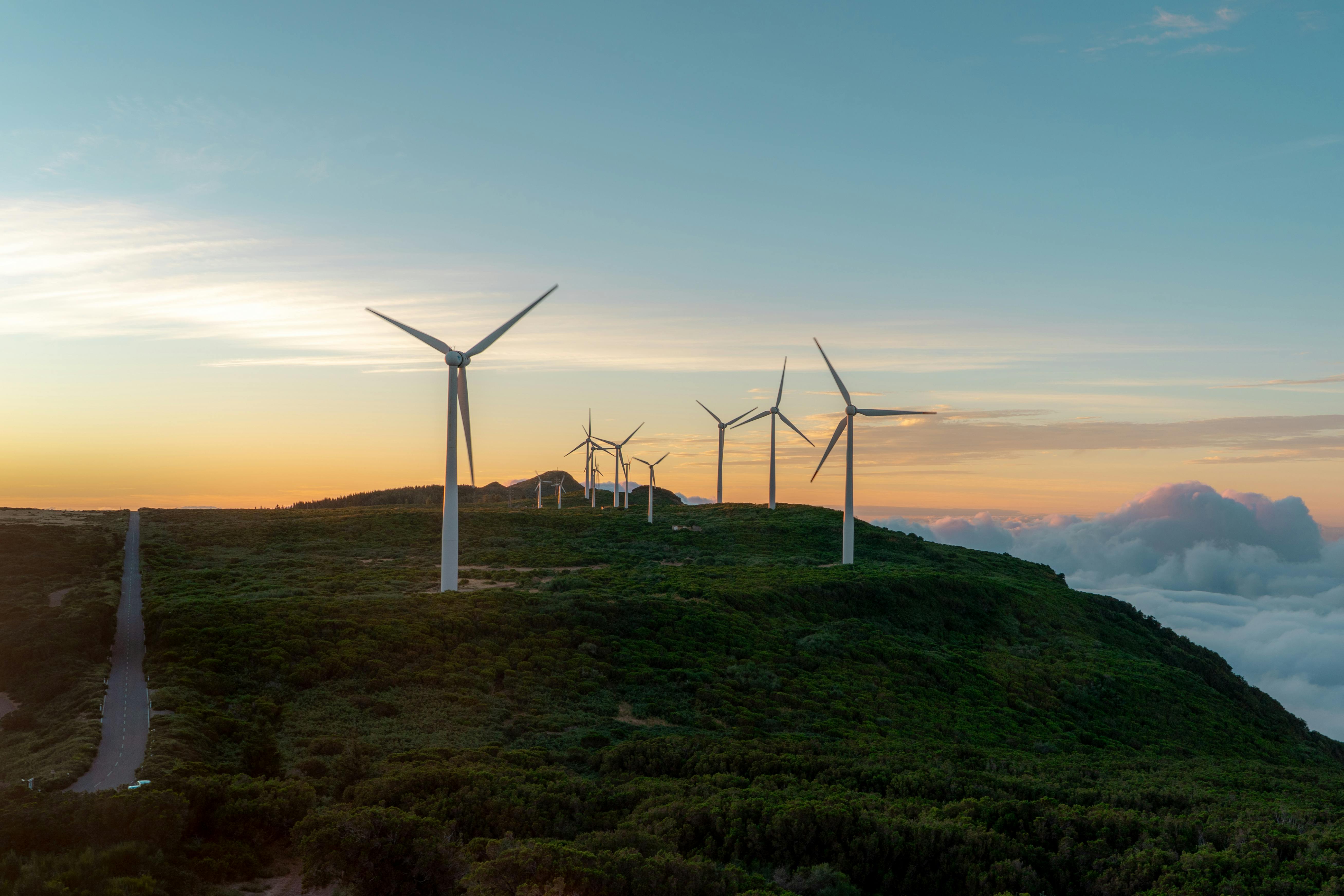 5 Strategic Considerations for Renewable Energy and Sustainable Land Management — Photo by Nicola Toscan on Pexels