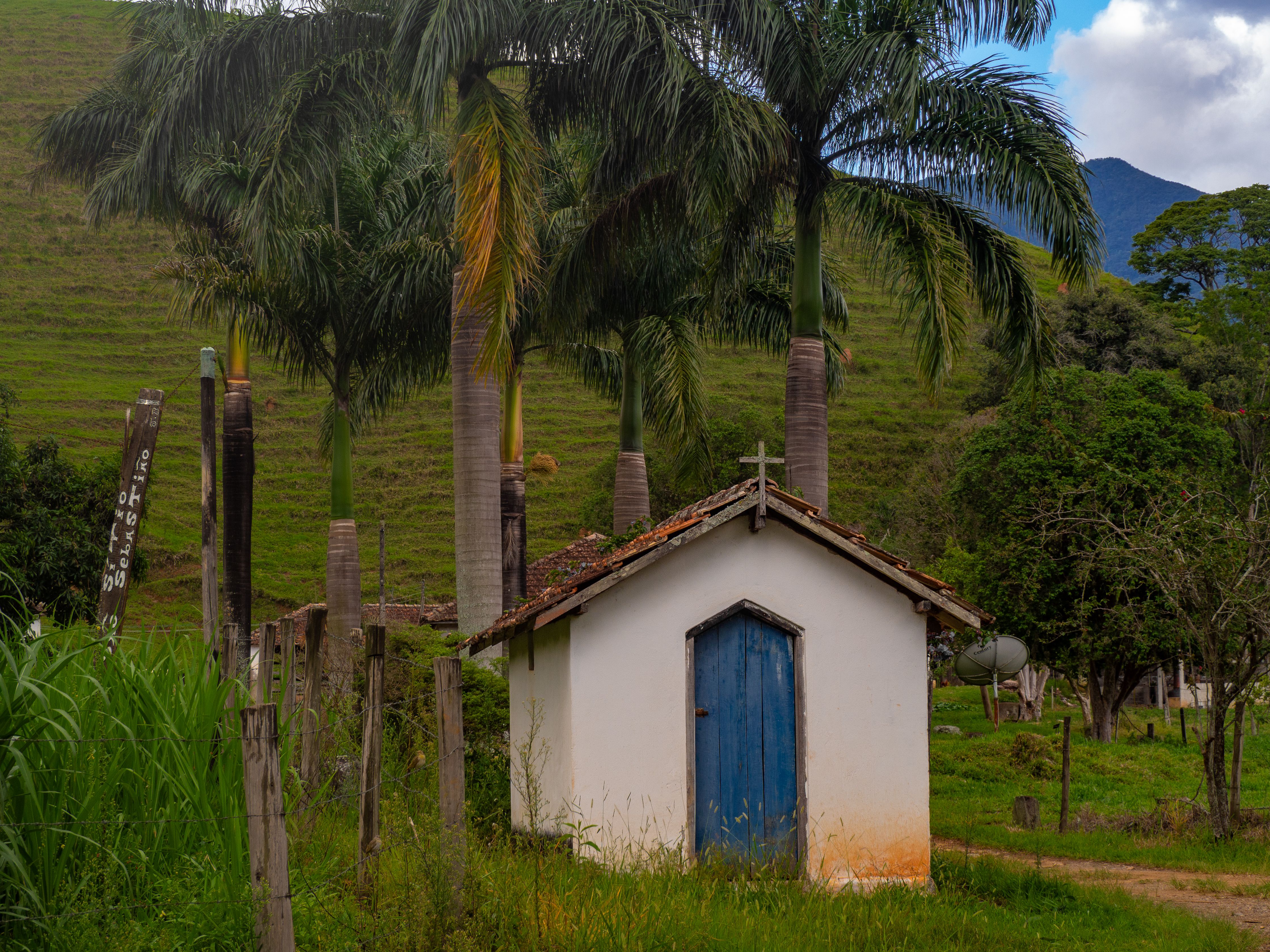 Charming Rural Chapel with Palm Trees · Free Stock Photo