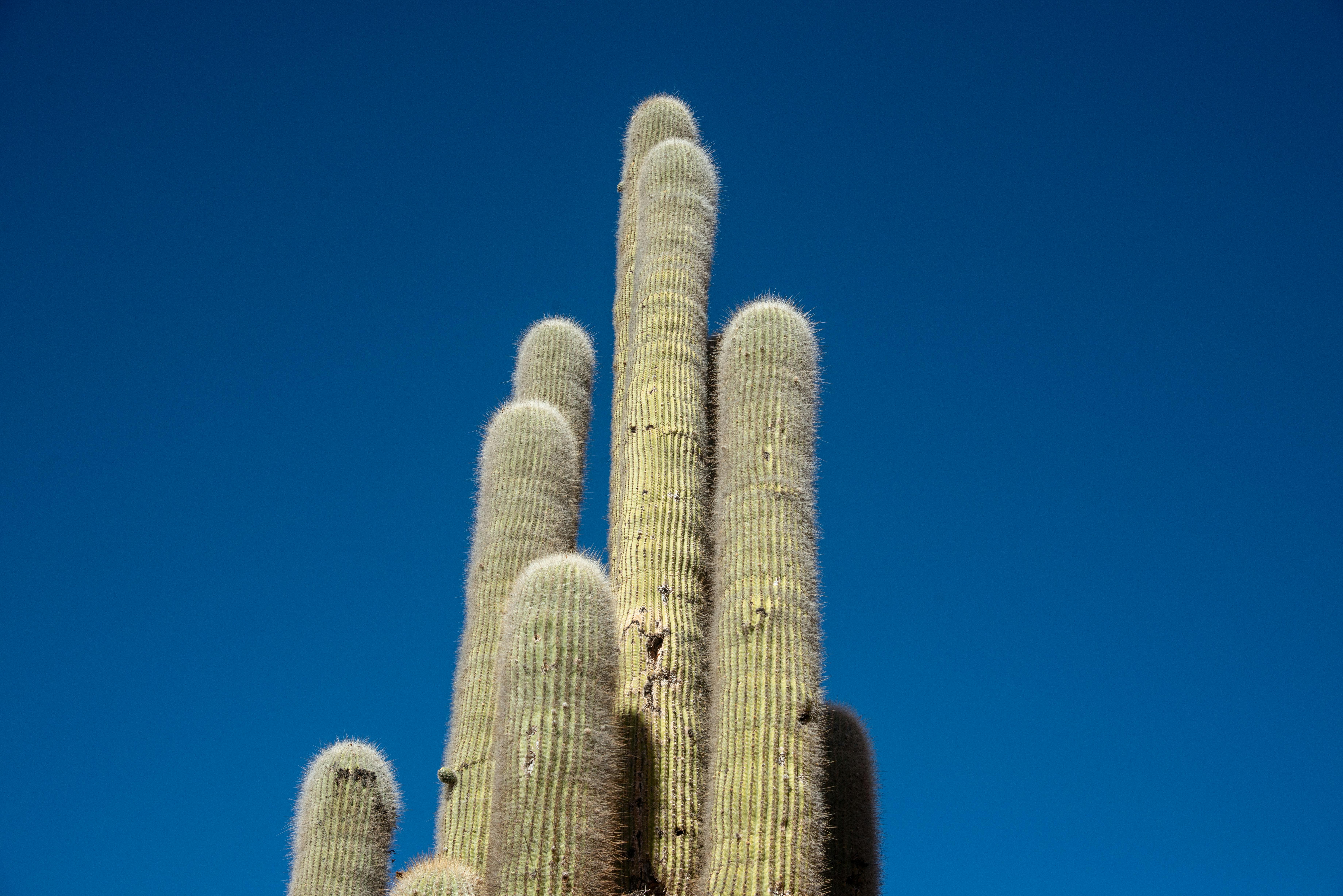 擔心孩子長不高？林口長庚教你從日常生活開始調整