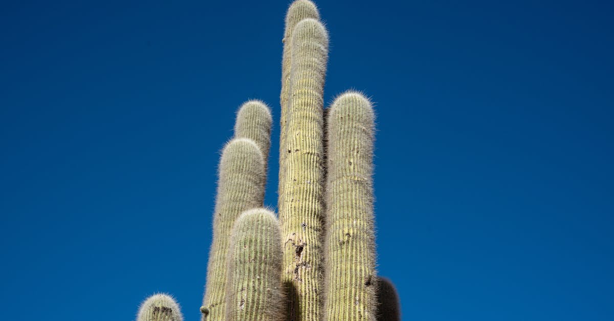 擔心孩子長不高?林口長庚教你從日常生活開始調整