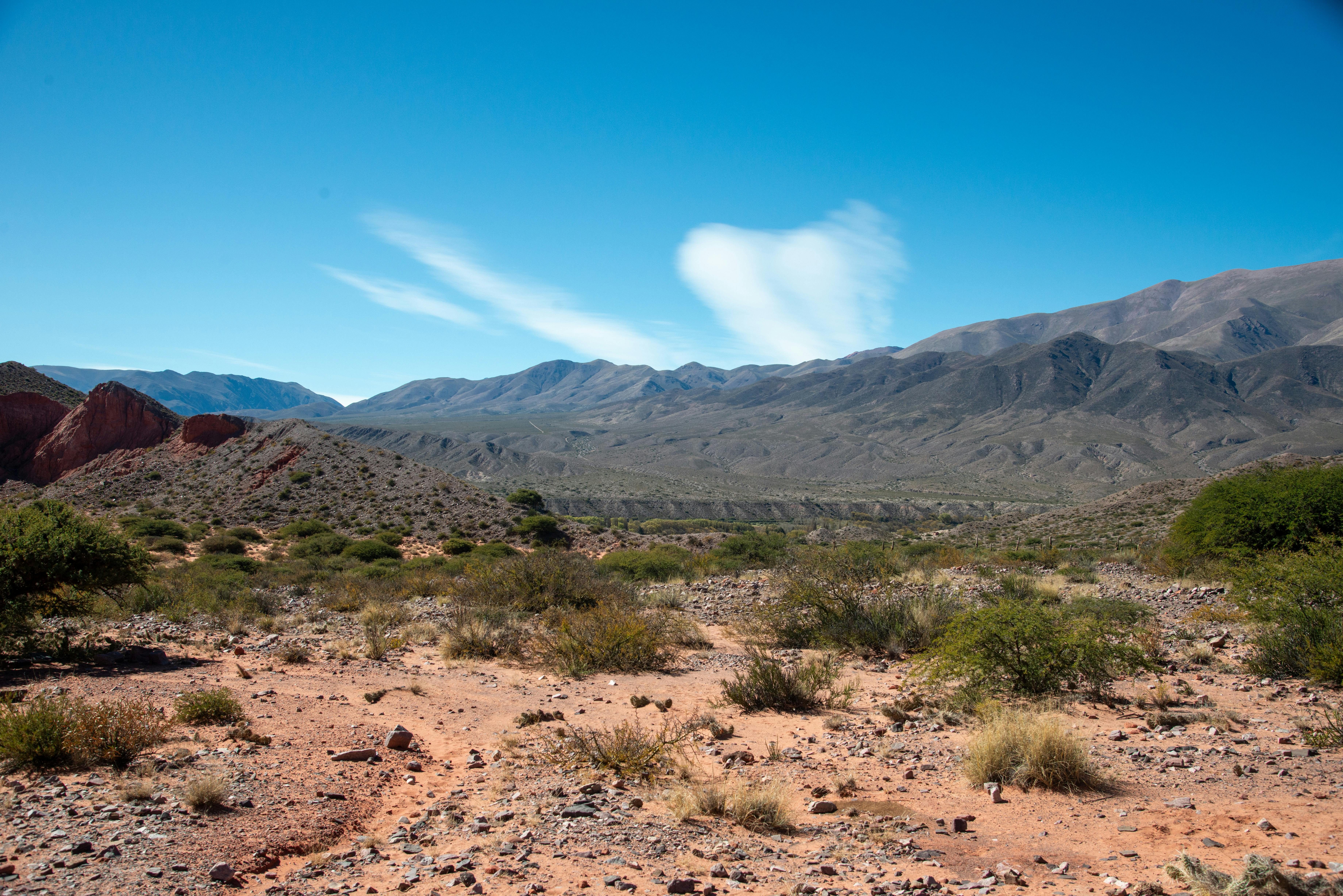 國際：全球多國加強合作應對氣候變遷挑戰