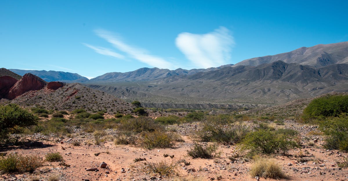 國際:全球多國加強合作應對氣候變遷挑戰