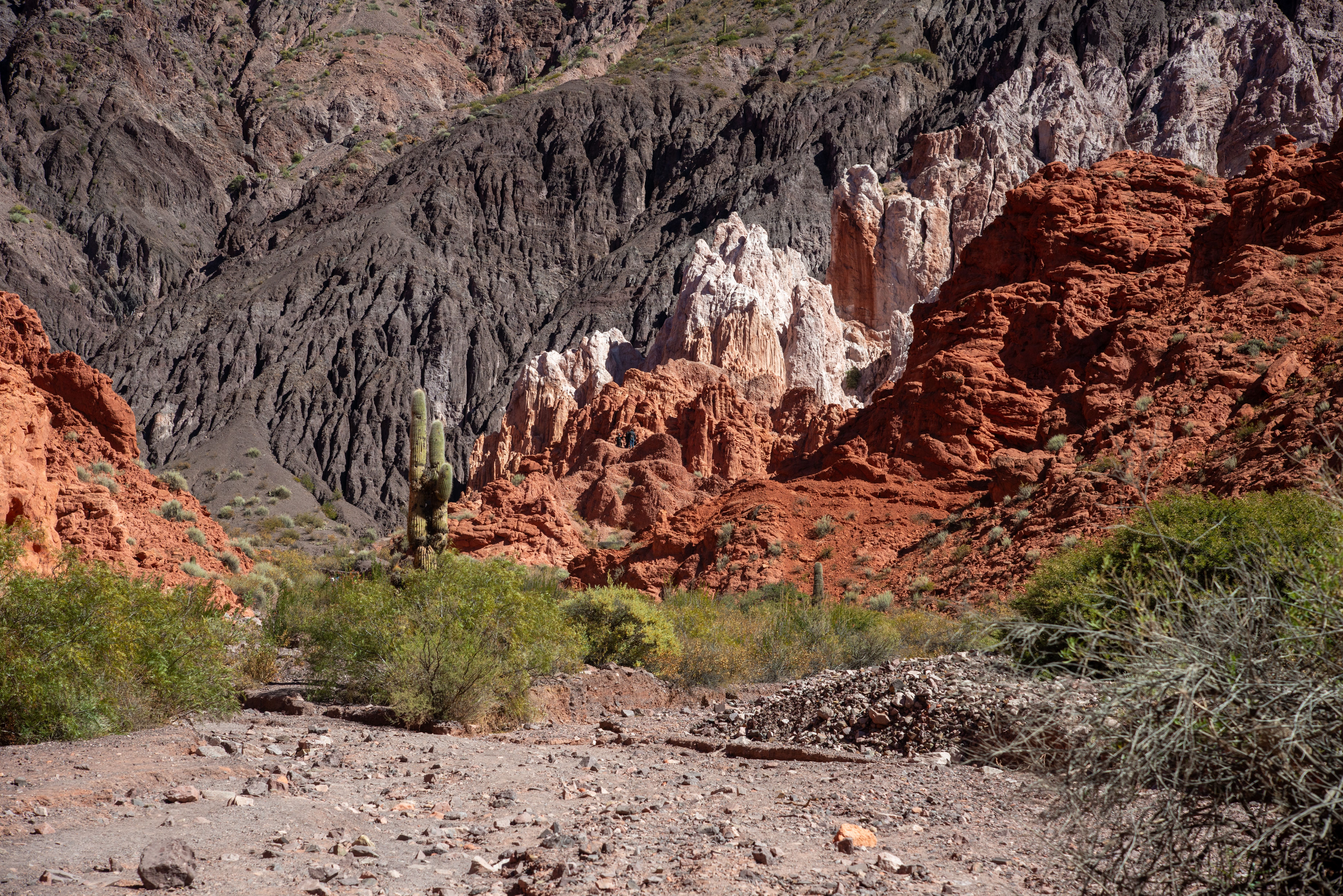 Explore the vibrant red rock landscapes and cacti under a clear blue sky in Jujuy Province.