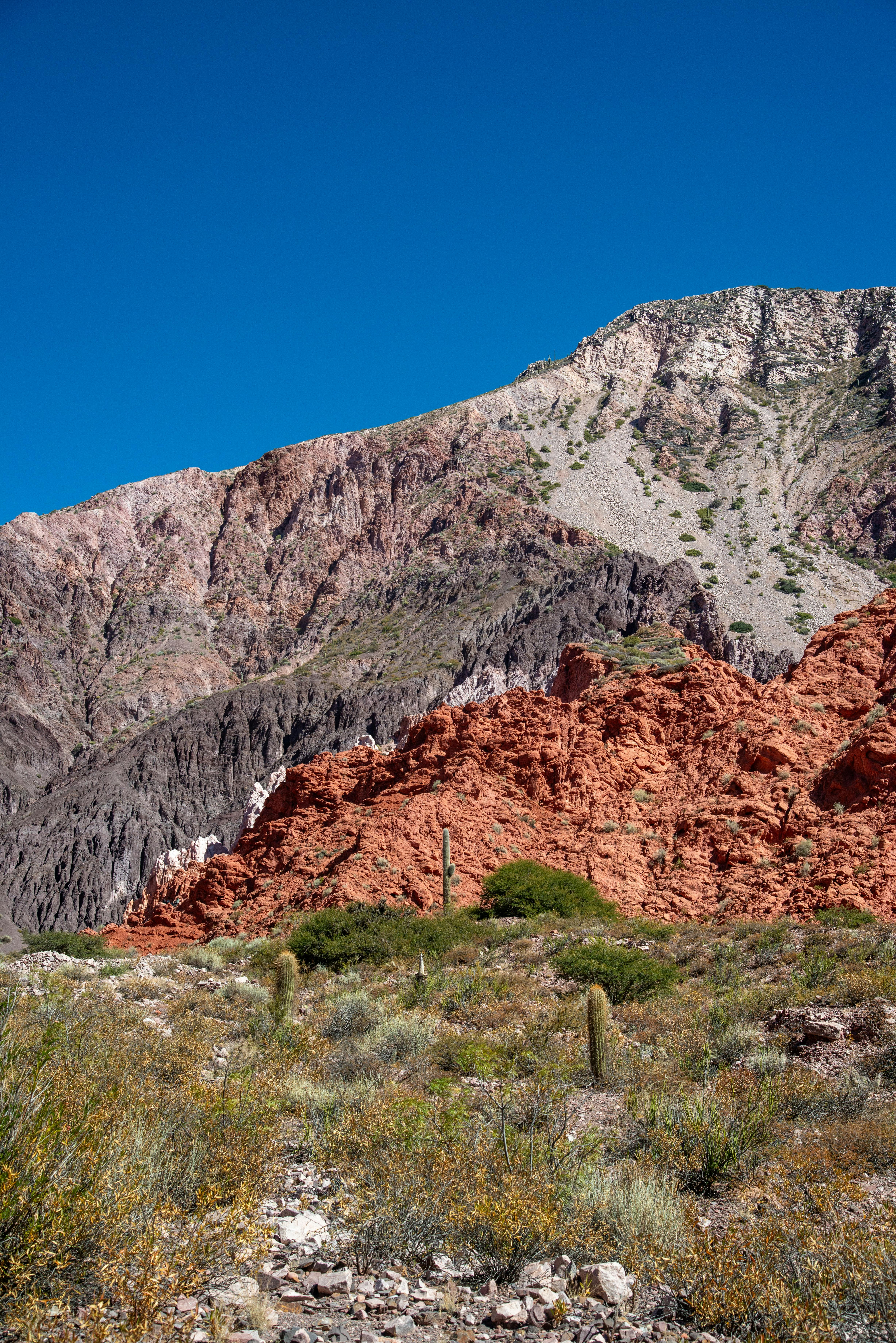 Vibrant view of the Andes with diverse geology in Jujuy, Argentina.