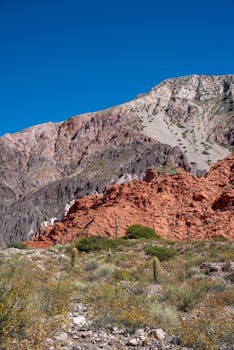 Vibrant view of the Andes with diverse geology in Jujuy, Argentina.