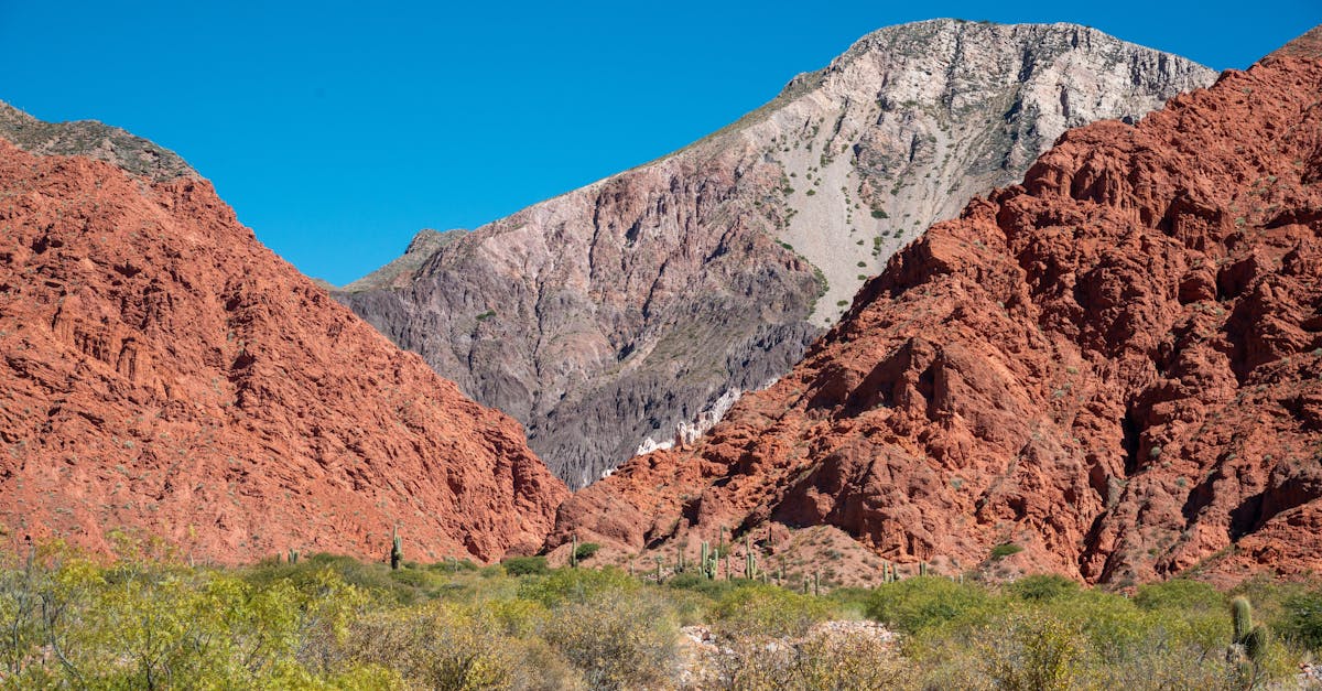國際:全球多國聚焦氣候變遷峰會,共商永續發展策略