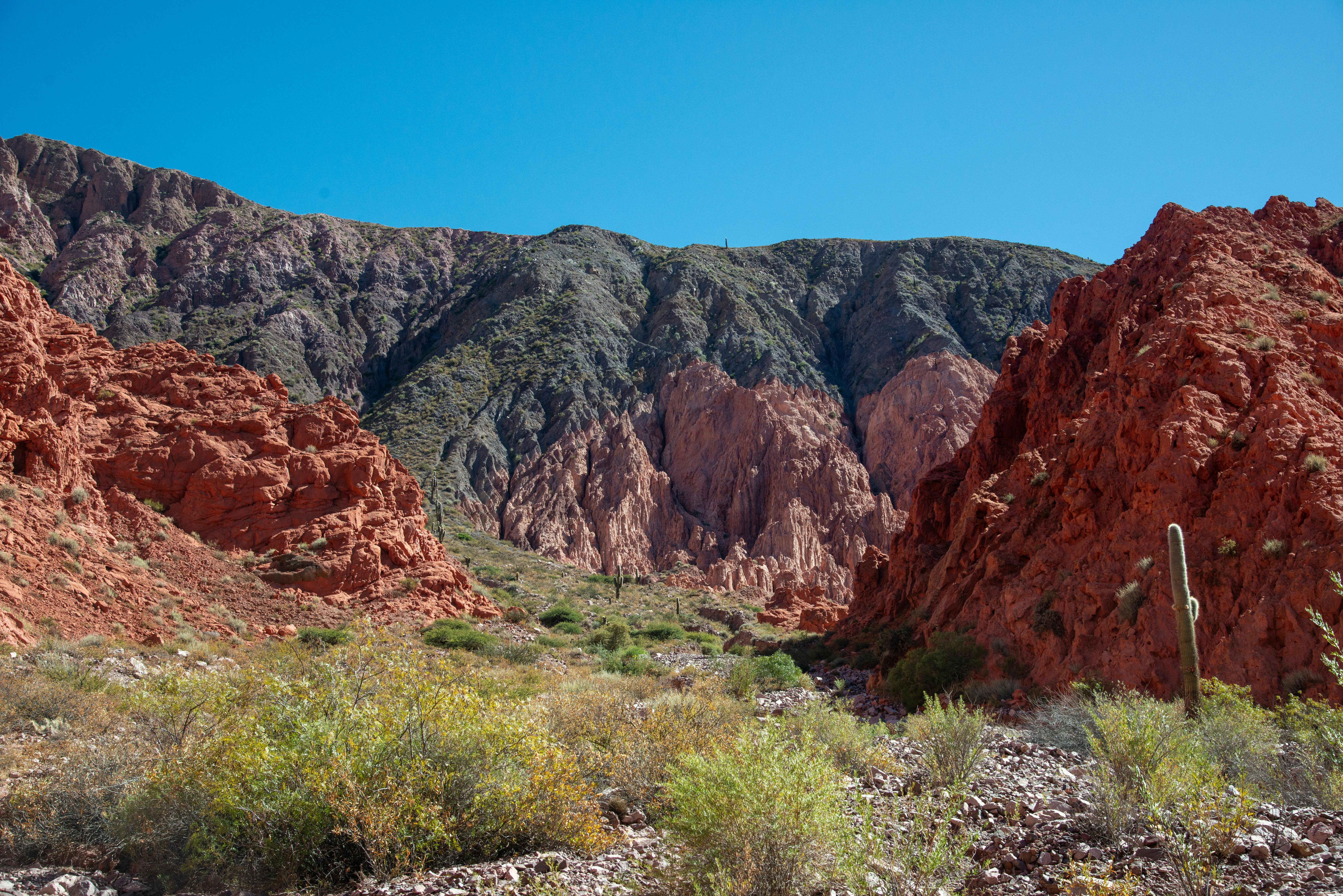 國際：全球多國加強合作應對氣候變遷挑戰