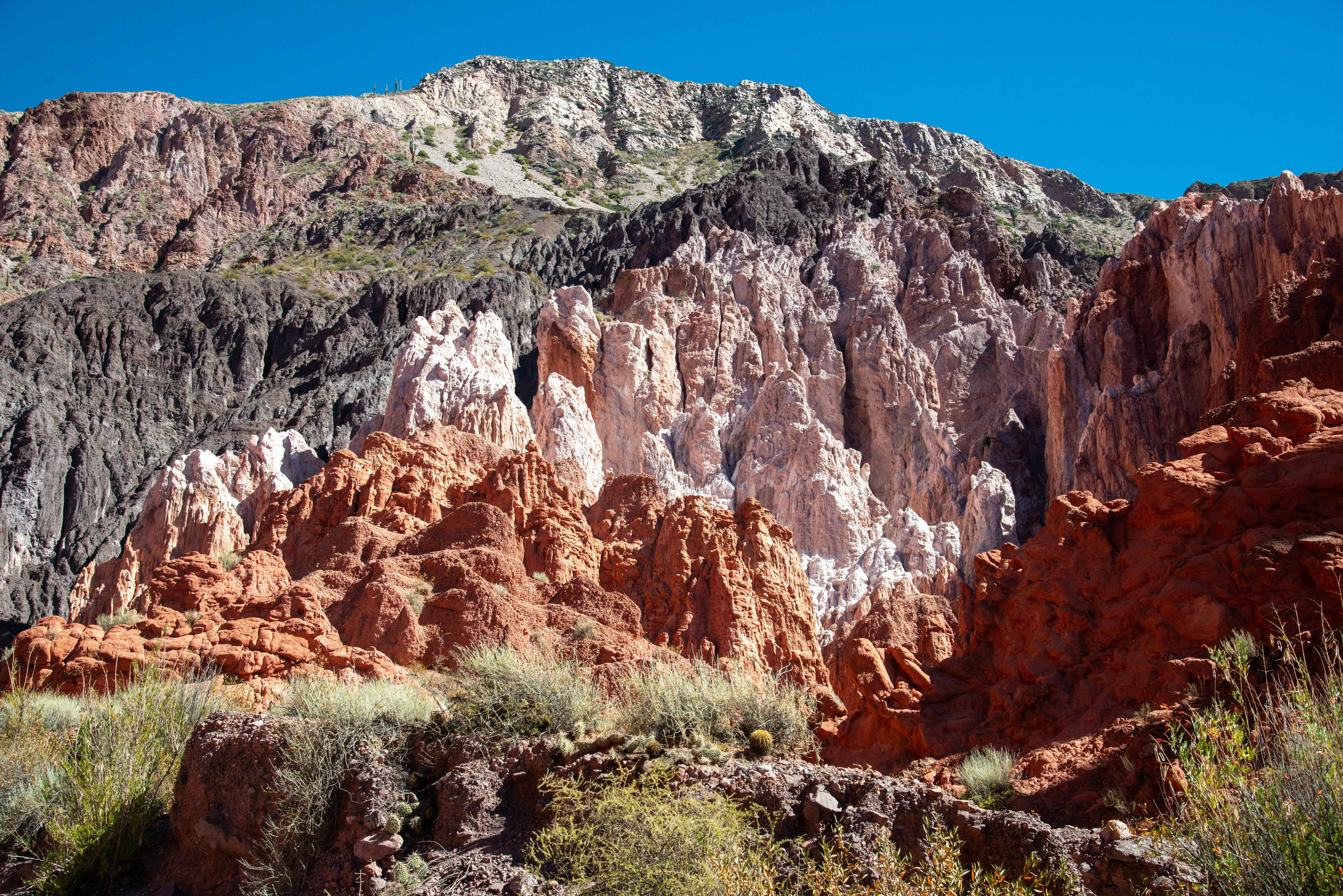 國際：全球多國加強合作應對氣候變遷挑戰