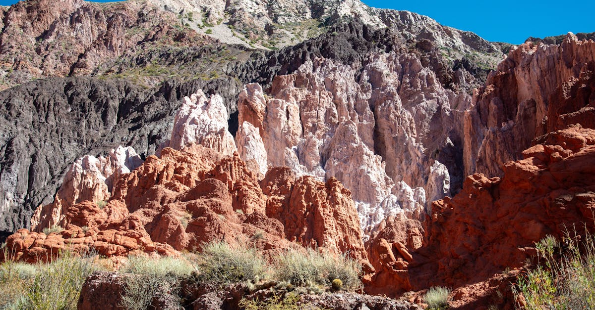 國際:全球多國加強合作應對氣候變遷挑戰