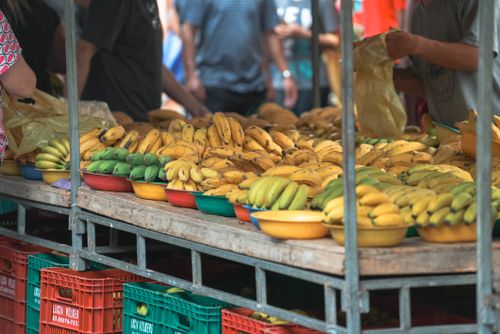 Free Vibrant display of bananas at an outdoor market in Espírito Santo, Brazil. Stock Photo
