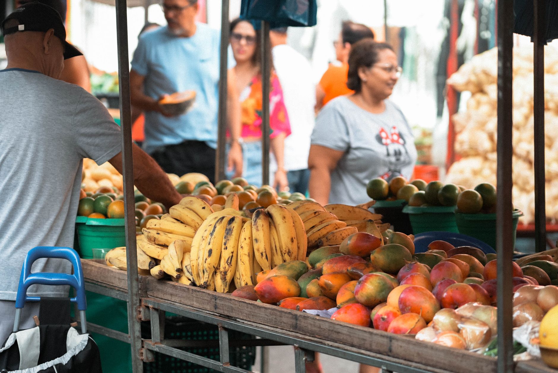 Brasil enfrenta desperdício e fome: soluções em combate à perda de alimentos