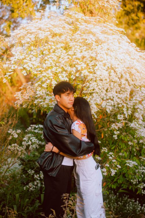 Free A couple sharing a tender embrace amidst blooming white flowers in a serene garden. Stock Photo