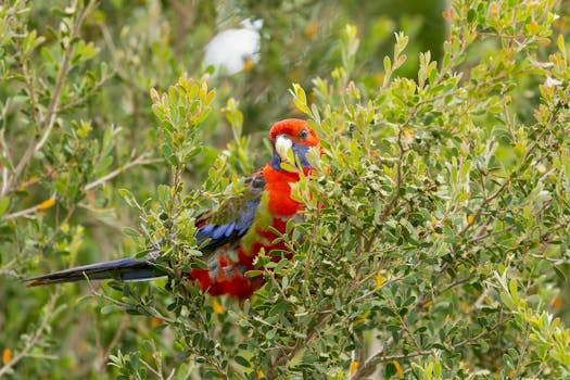 Photo by Stuart  Robinson