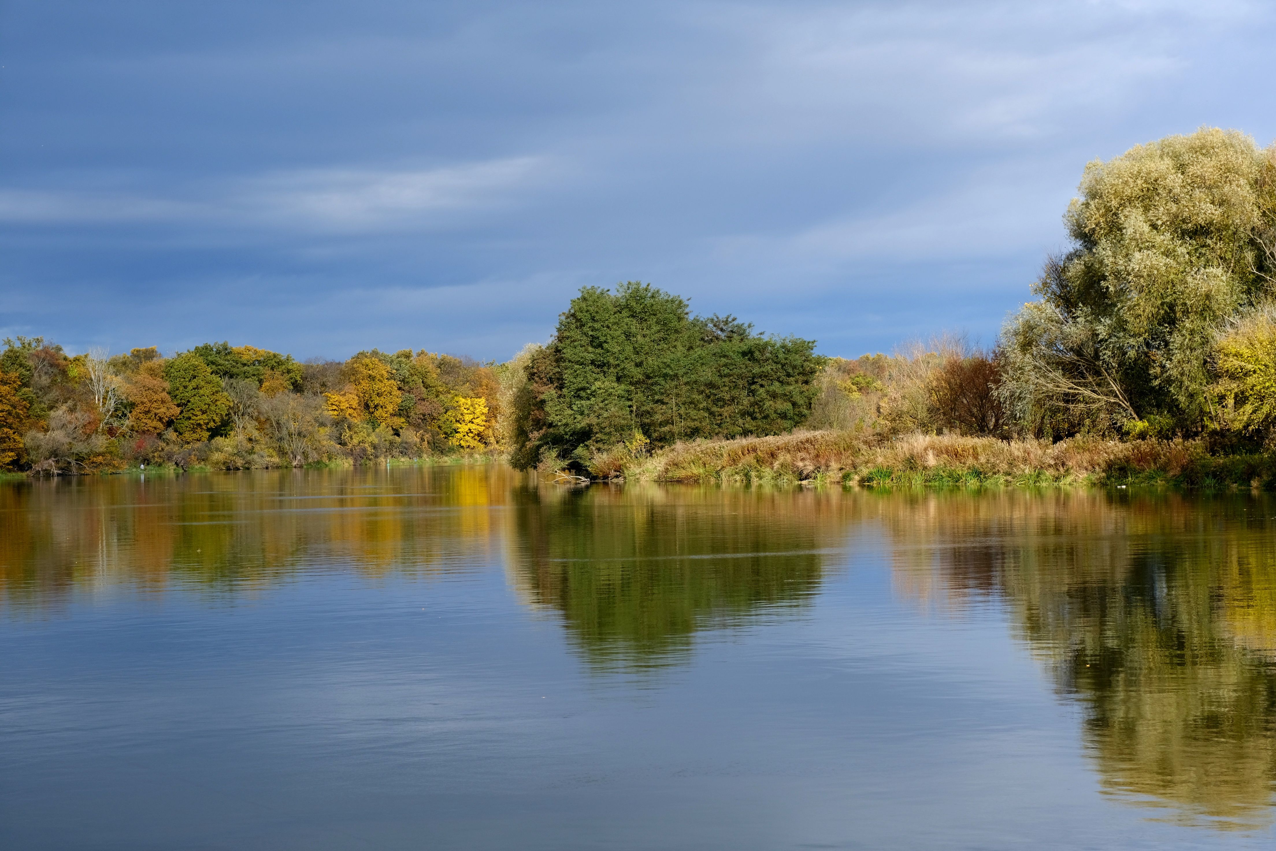 Serene Autumn Landscape with Lake Reflection · Free Stock Photo