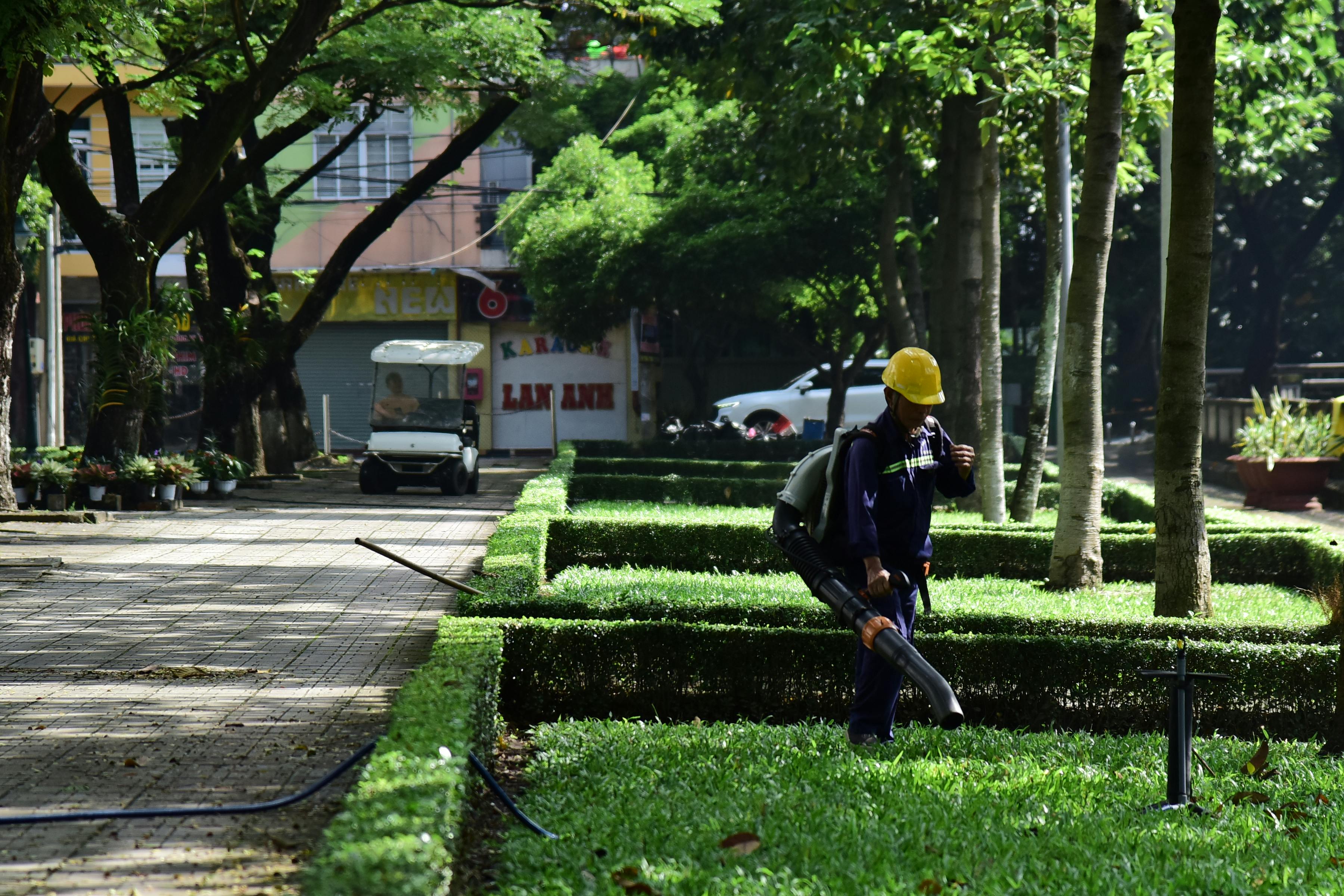 8 DeWalt Gardening Tools You Probably Didn't Realize Existed — Photo by Sóc Năng Động on Pexels