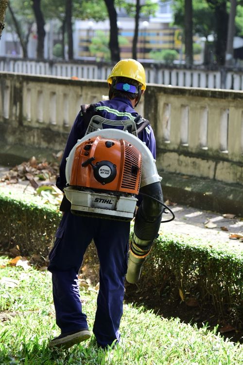 Free Worker with leaf blower cleaning park area, wearing safety gear outdoors. Stock Photo