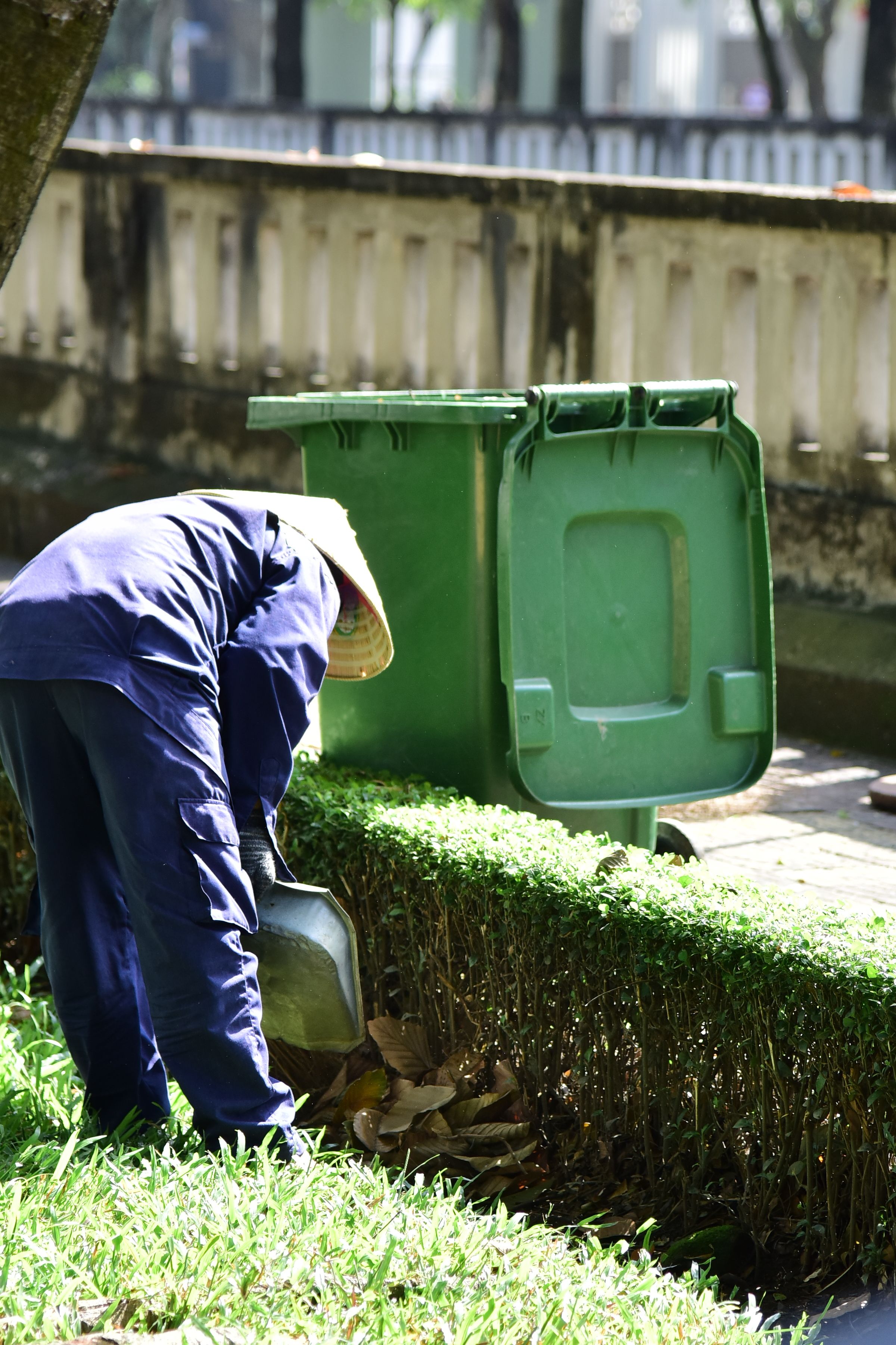 Tree Removal Debris Dumpster Rental in Porter Ranch, CA