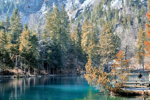 Scenic view of Blausee Lake surrounded by lush green forests in Switzerland.
