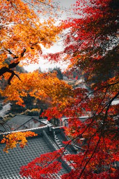 Stunning red and orange autumn leaves frame traditional rooftops, capturing fall elegance.