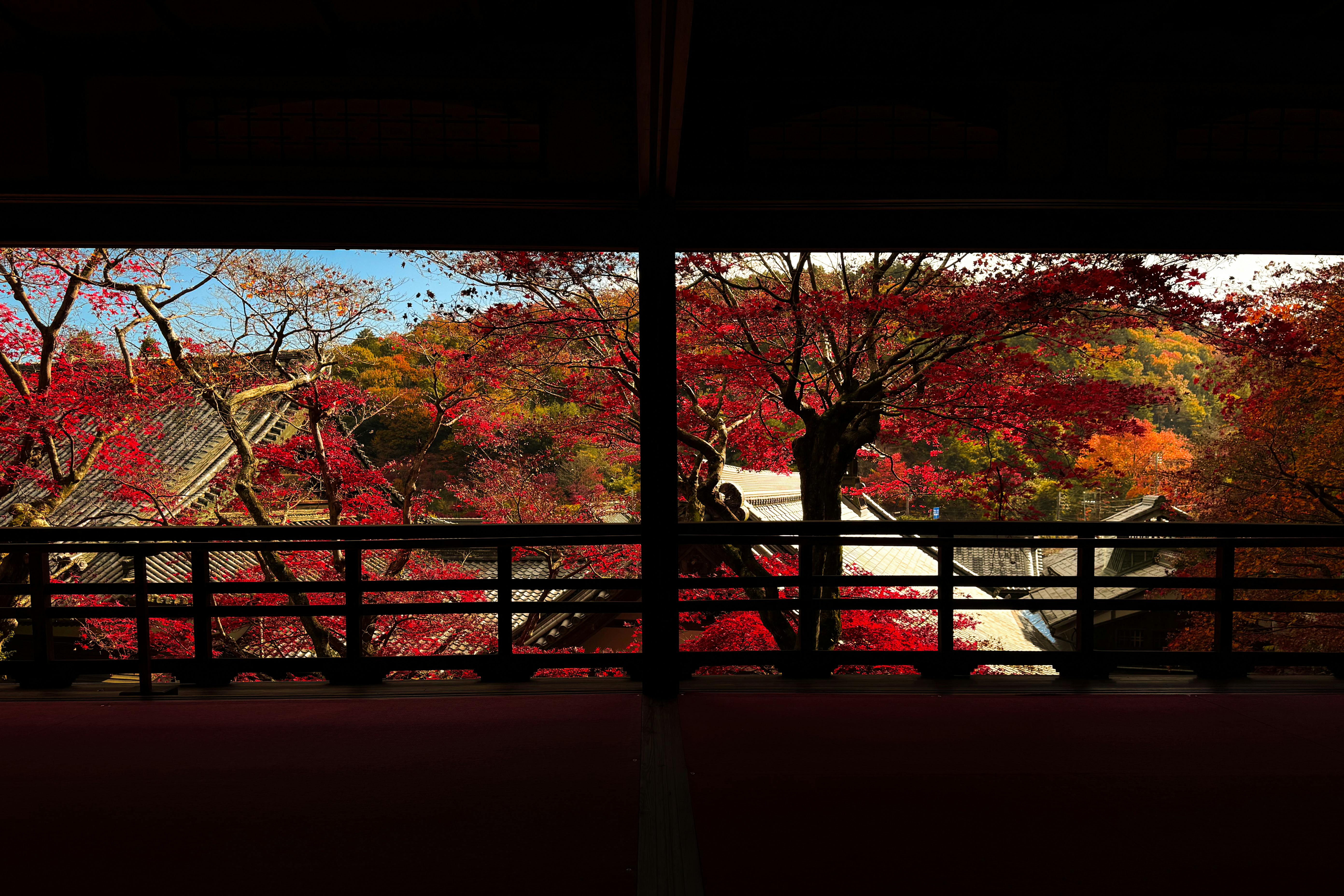 A breathtaking view of autumn leaves from a traditional Japanese temple.