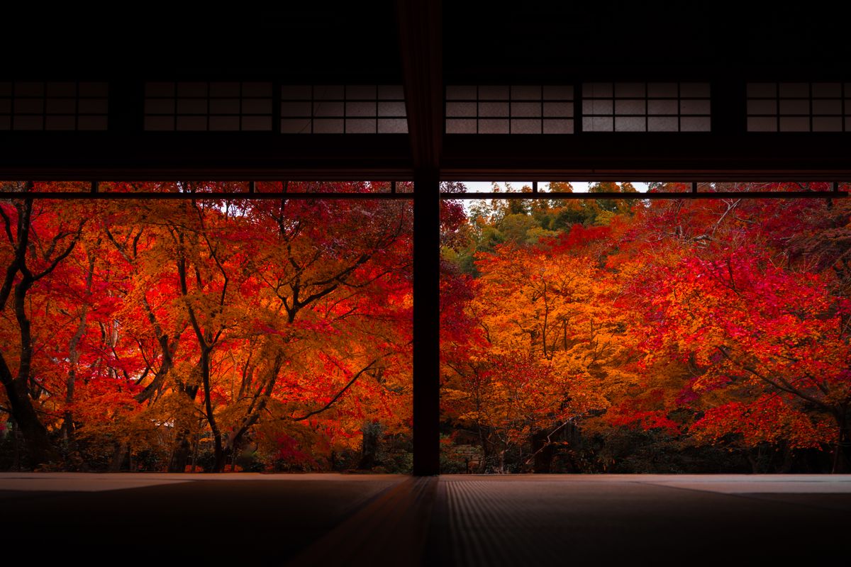 Brilliant red maple leaves framed by a temple window