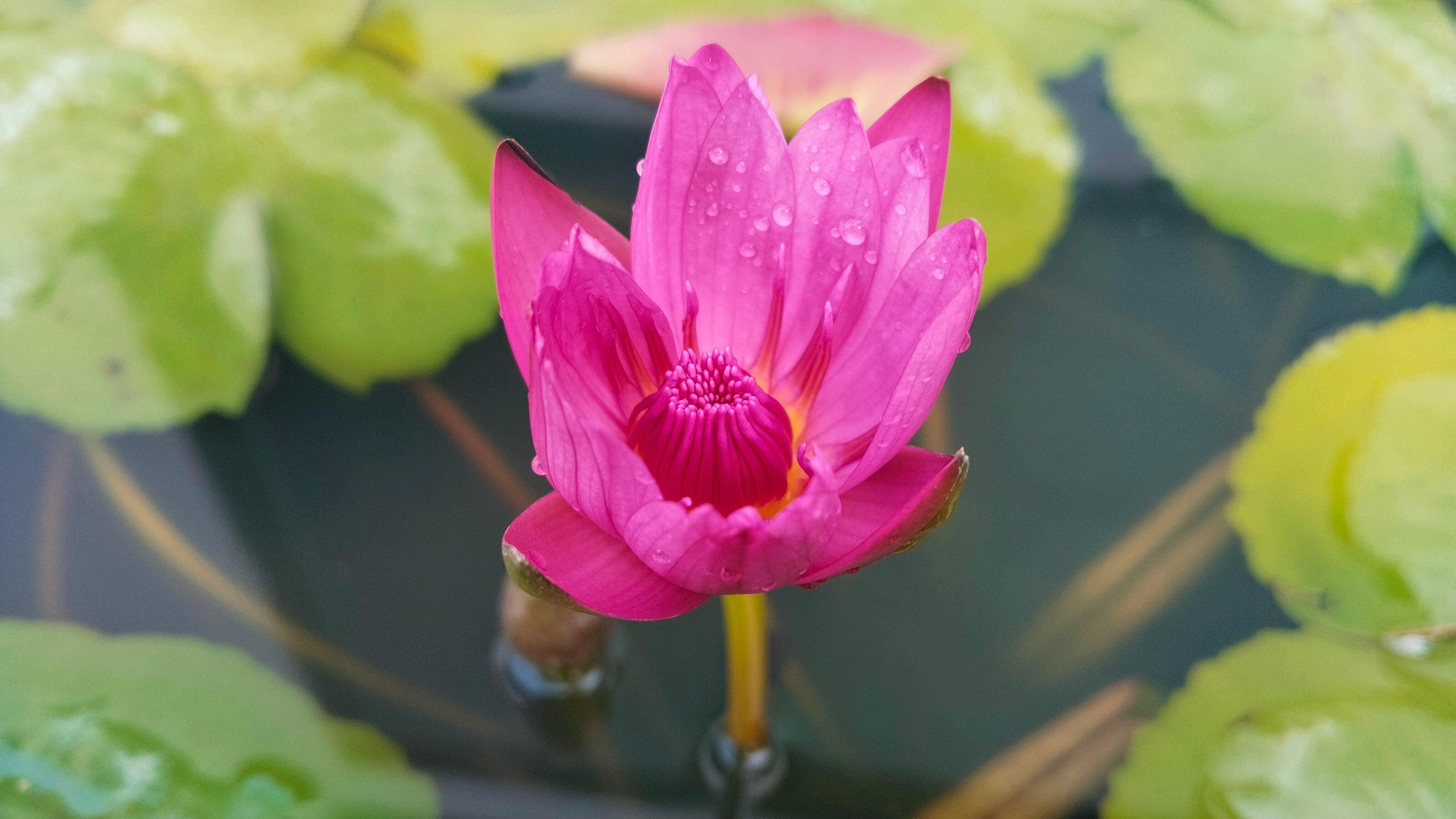 보험가입 팁 이미지