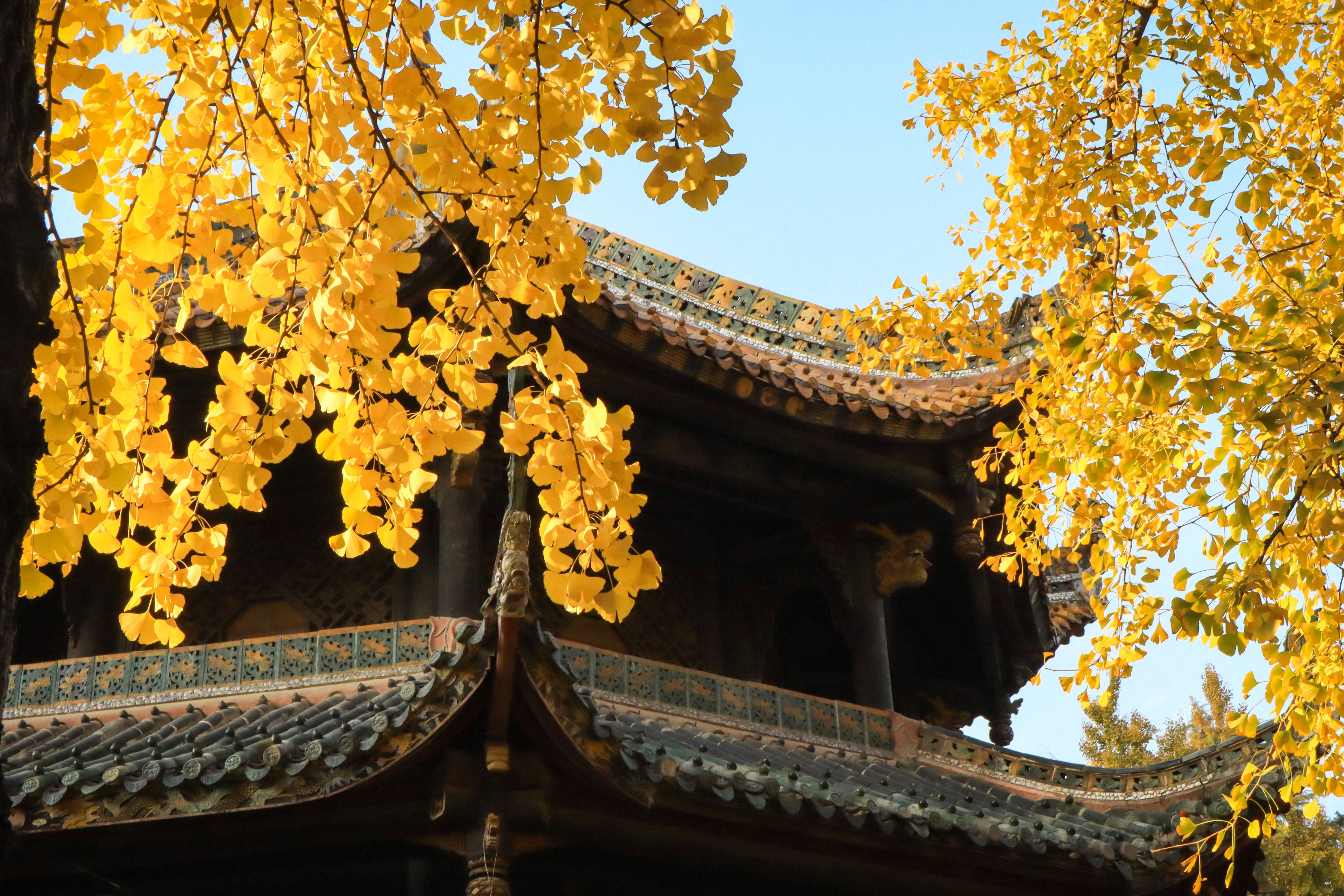 Wuhou Shrine Chengdu — Zhuge Liang's Legacy