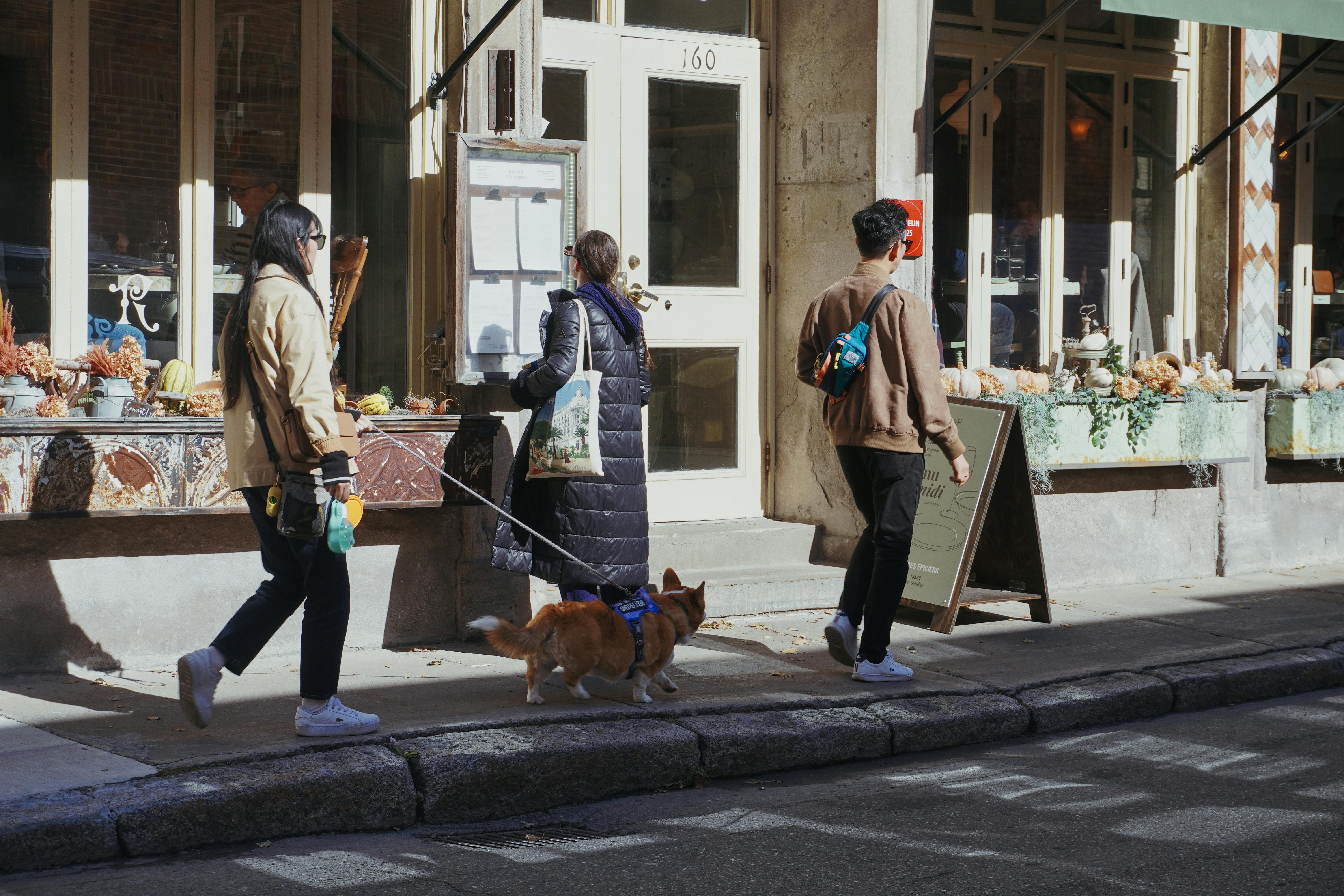 pet lifestyle store — Photo by Abdel Achkouk on Pexels